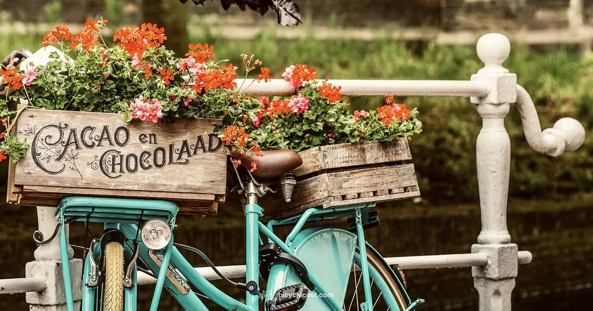 Bicycle Cards Origin - BicycleCost