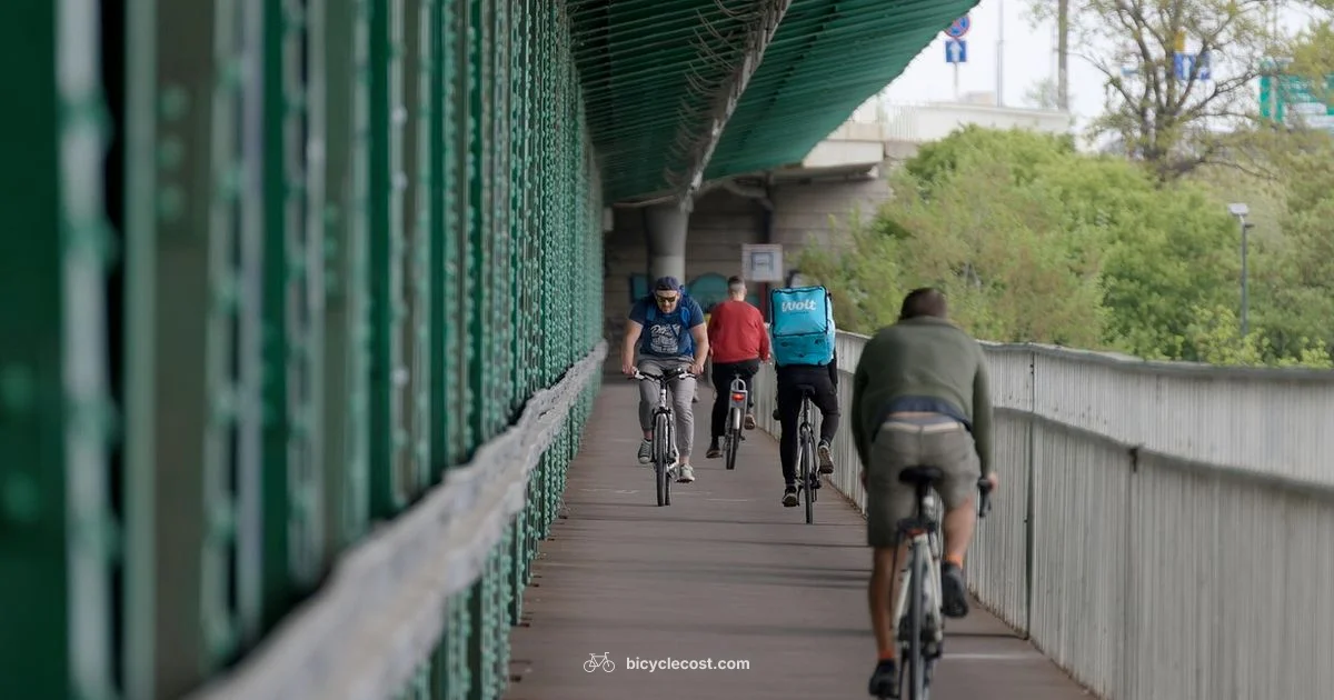 Bike Lane Etiquette - BicycleCost