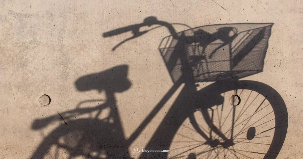 Wall Bike Holder - BicycleCost