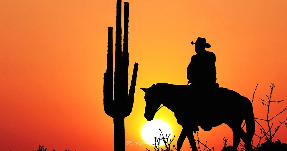 Bike Light Essentials Bike Light Essentials - BicycleCost