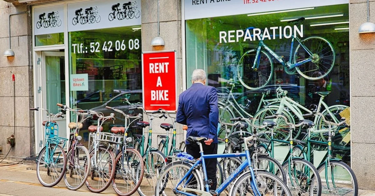 Adult Sizing Guide - BicycleCost