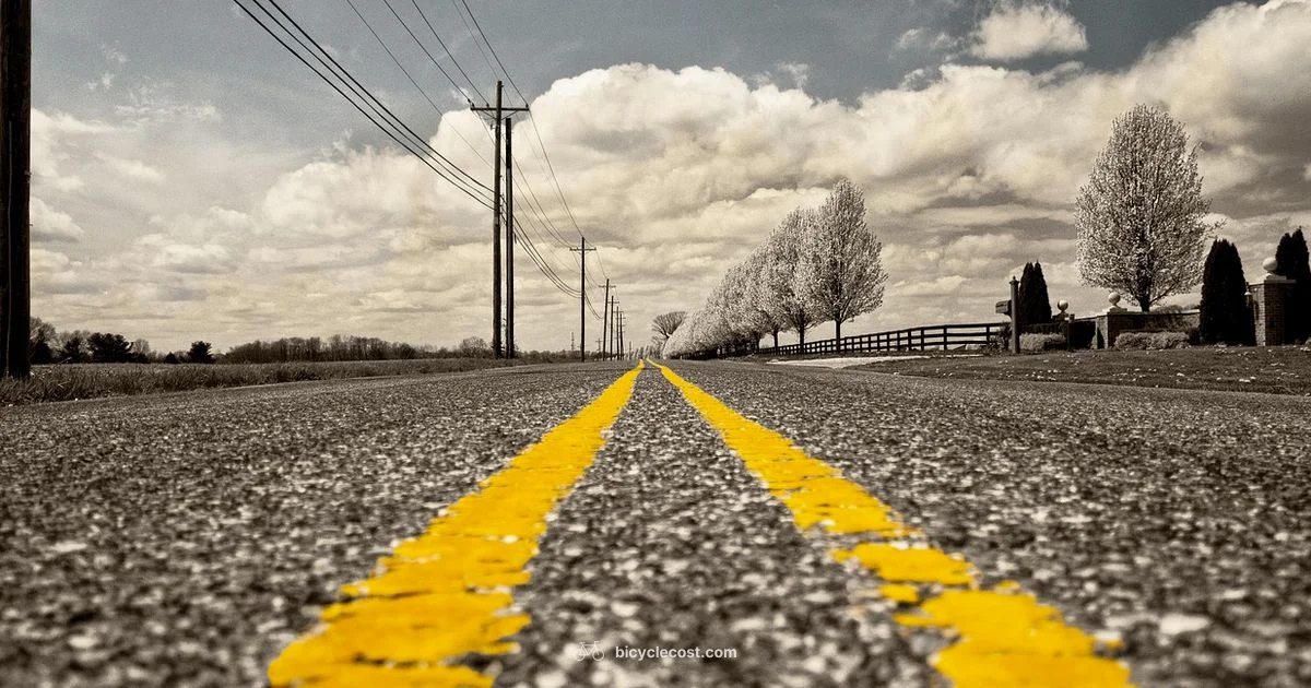 Carbon Road Bike Guide - BicycleCost