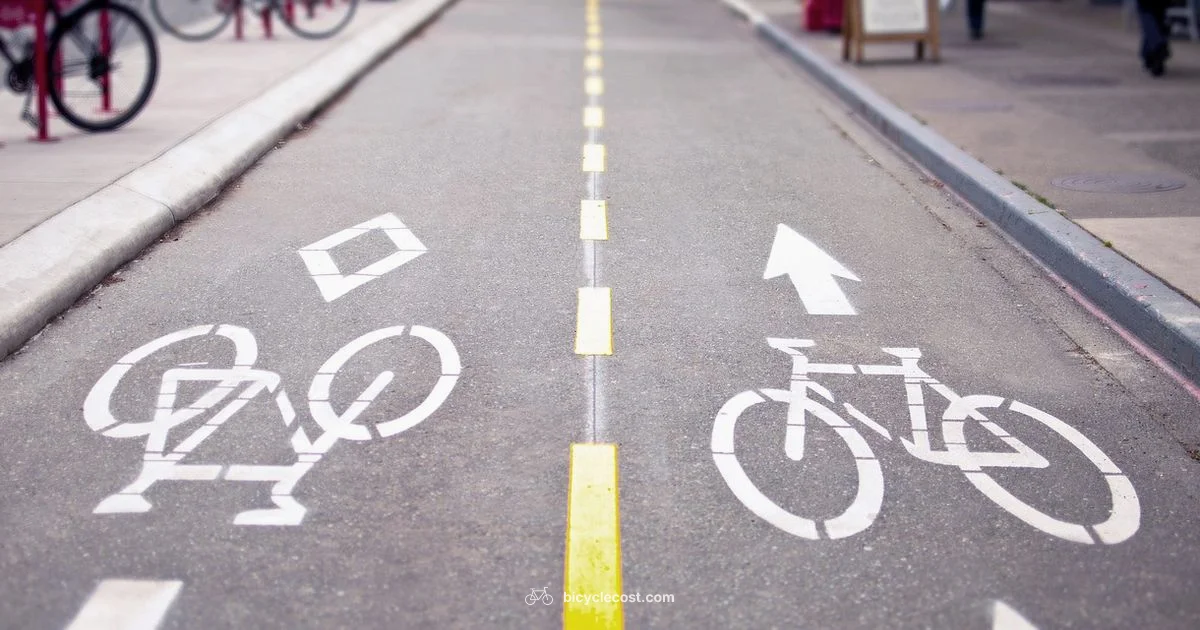 Bike Lane Parking - BicycleCost