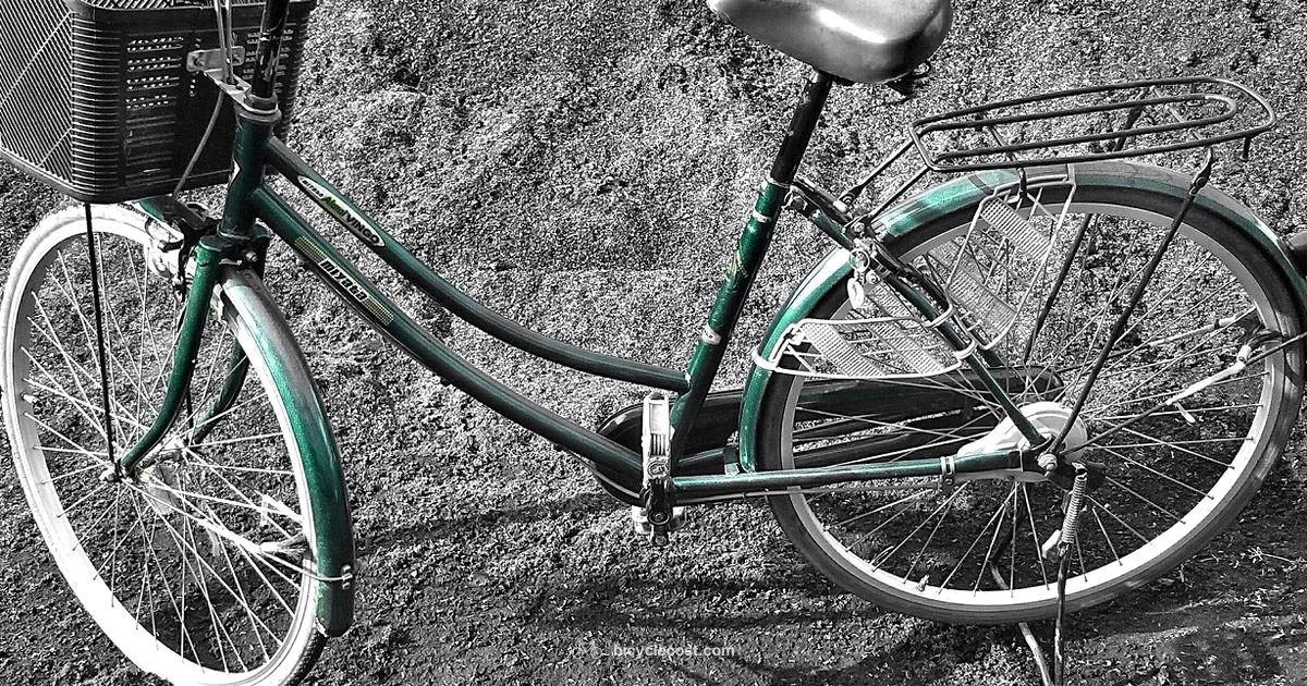 Bike Energy Sources - BicycleCost