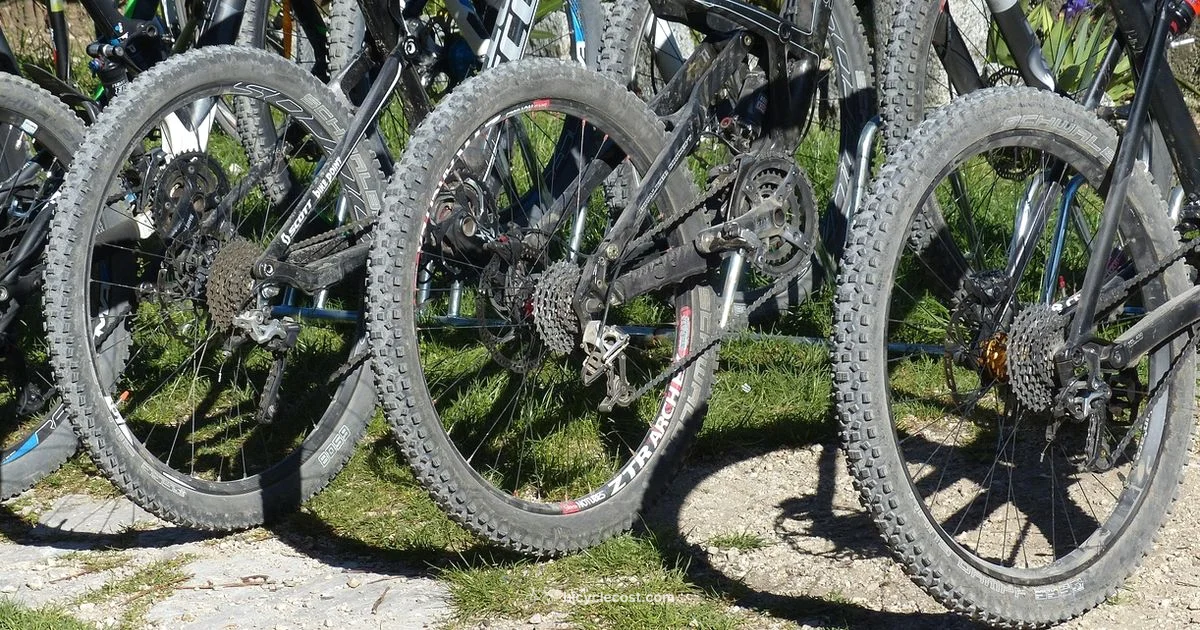 Fat Tire Guide - BicycleCost