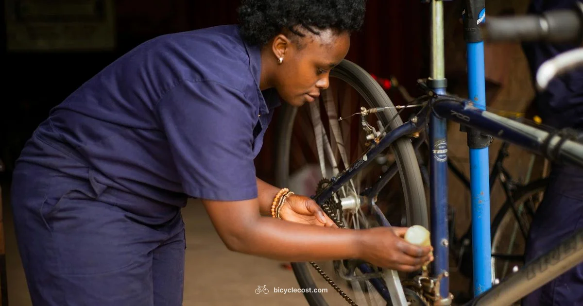 Bike Lifespan Guide - BicycleCost