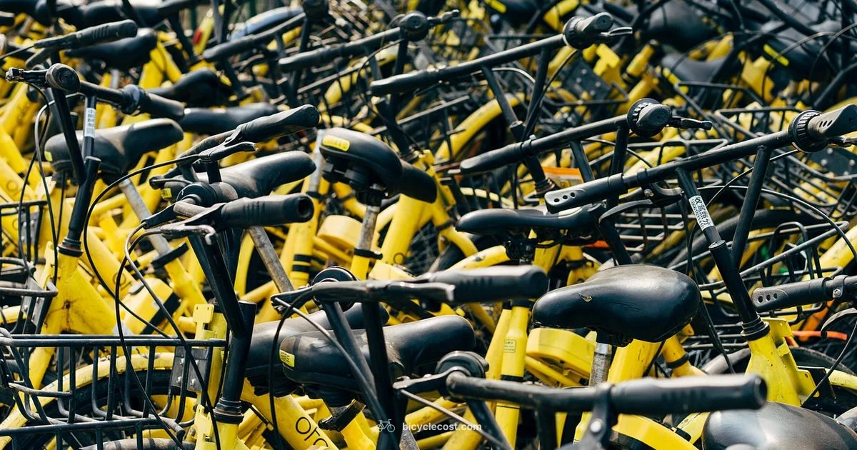 Bike Rental Guide Bike Rental Guide - BicycleCost