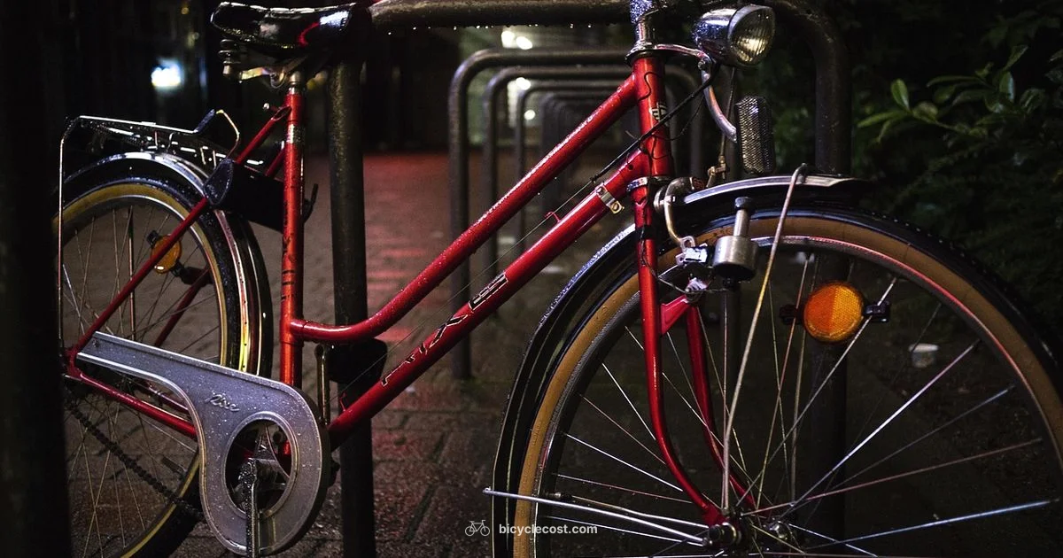 New Bicycle Setup - BicycleCost