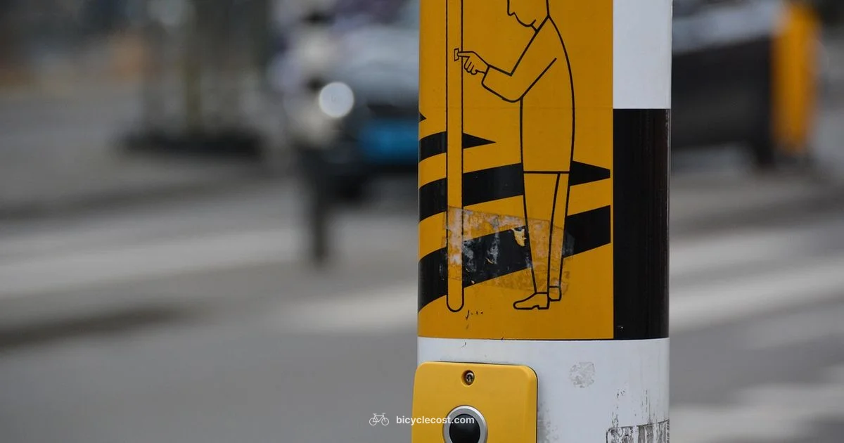 On Road Riding - BicycleCost