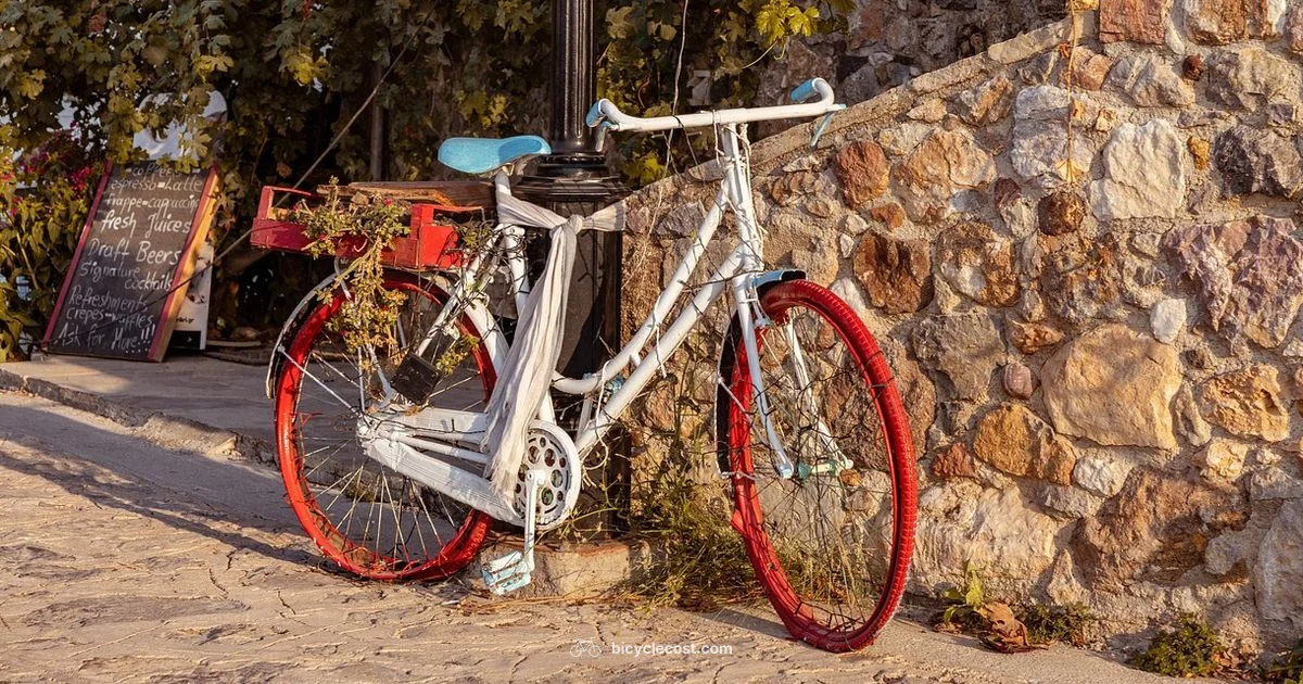 Three Wheel E Bike - BicycleCost