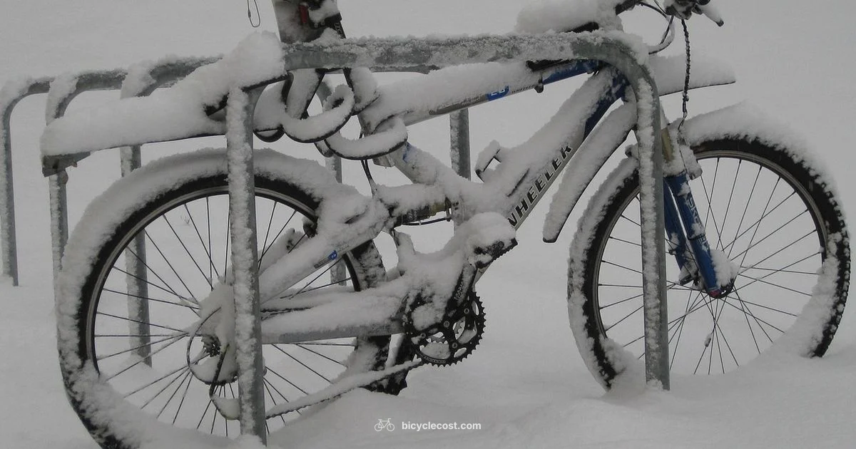 Winter Bicycle Shoes - BicycleCost