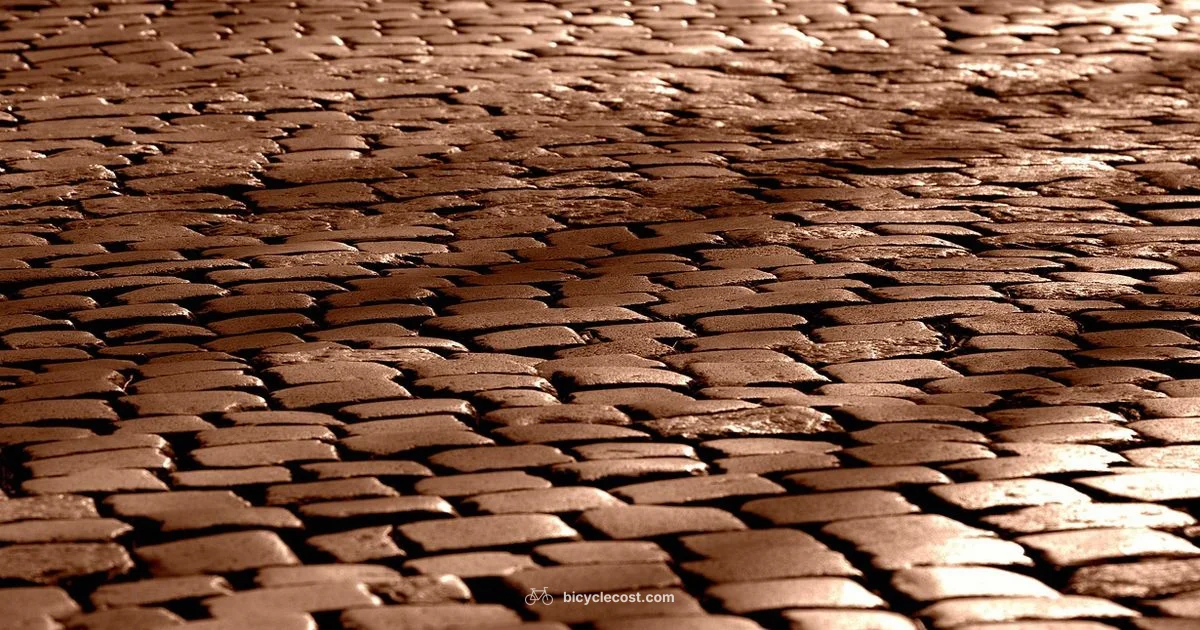 Road Cycle Guide - BicycleCost