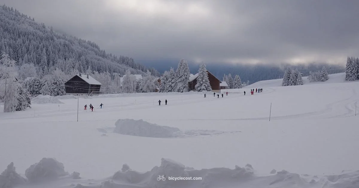 Winter Glove Guide - BicycleCost