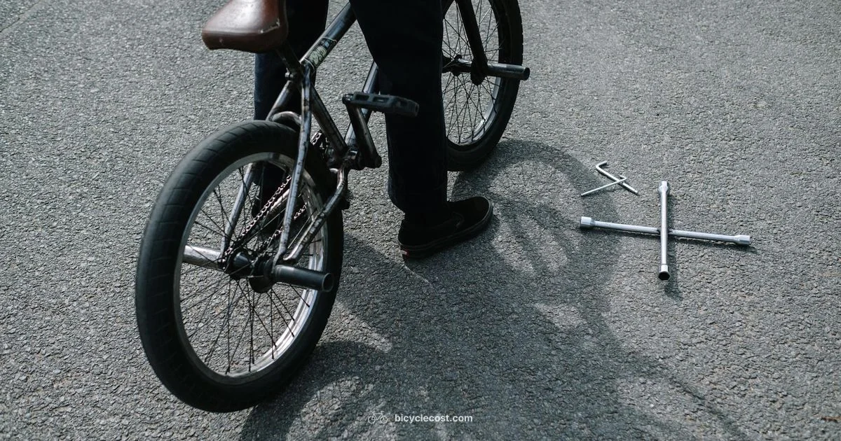 Bike Frame Guide - BicycleCost