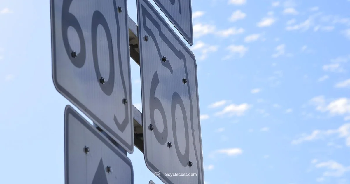 Helmet Rules in Florida - BicycleCost