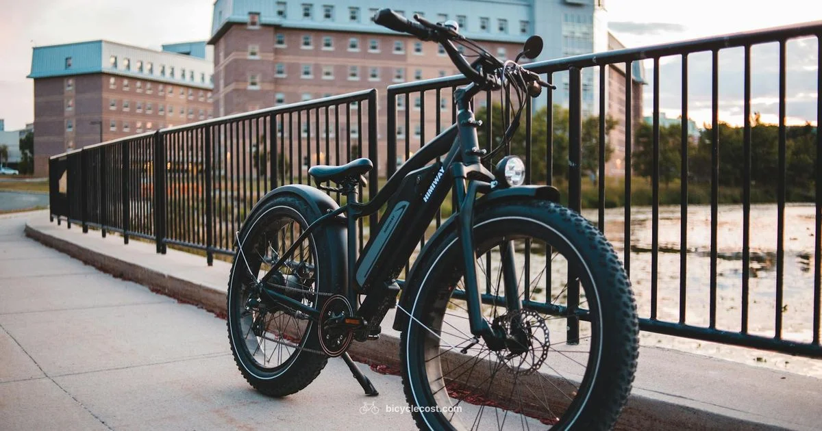 E Bicycle Guide - BicycleCost