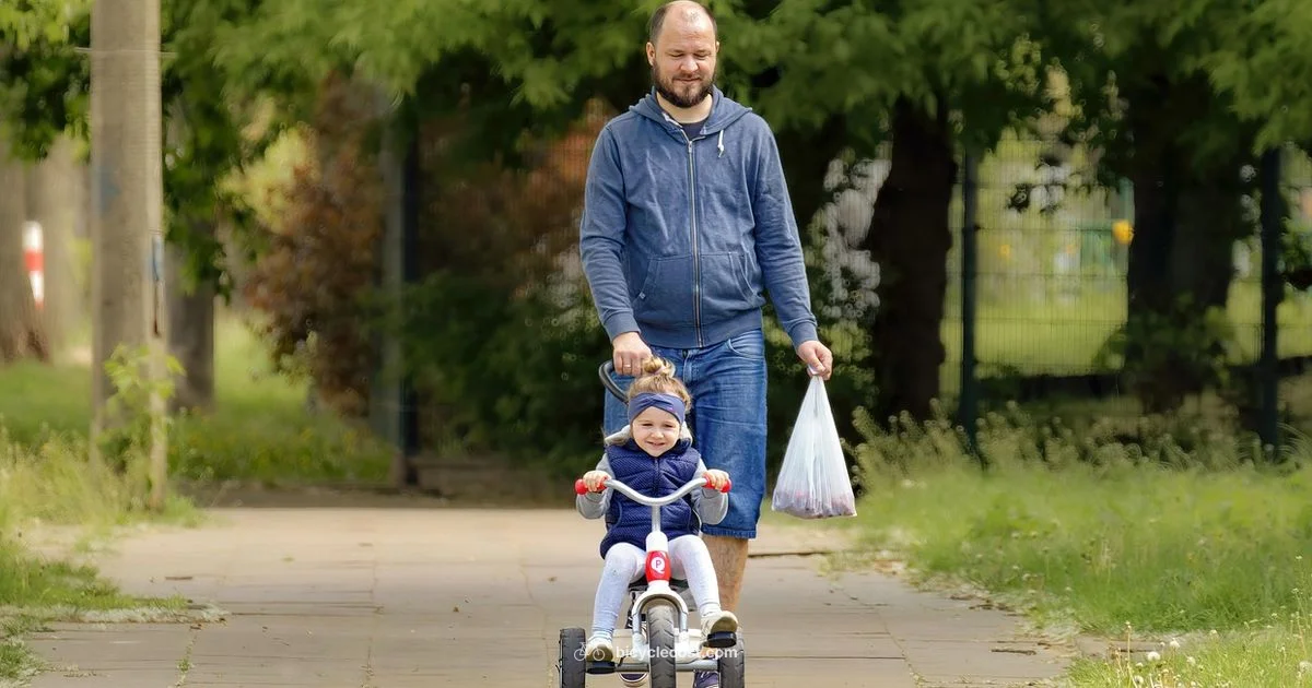 Adult Tricycle Guide - BicycleCost