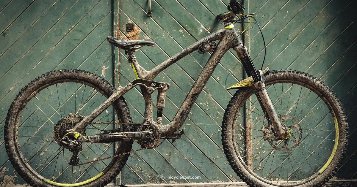 Downhill Bike Guide - BicycleCost