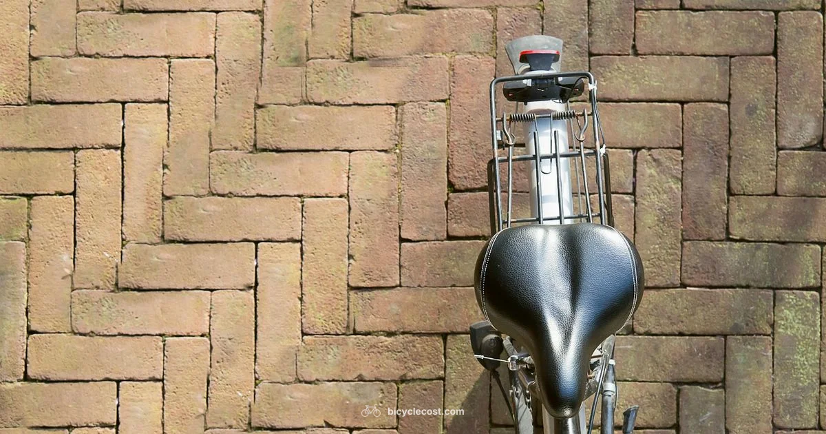 Rack for Bicycle Guide - BicycleCost