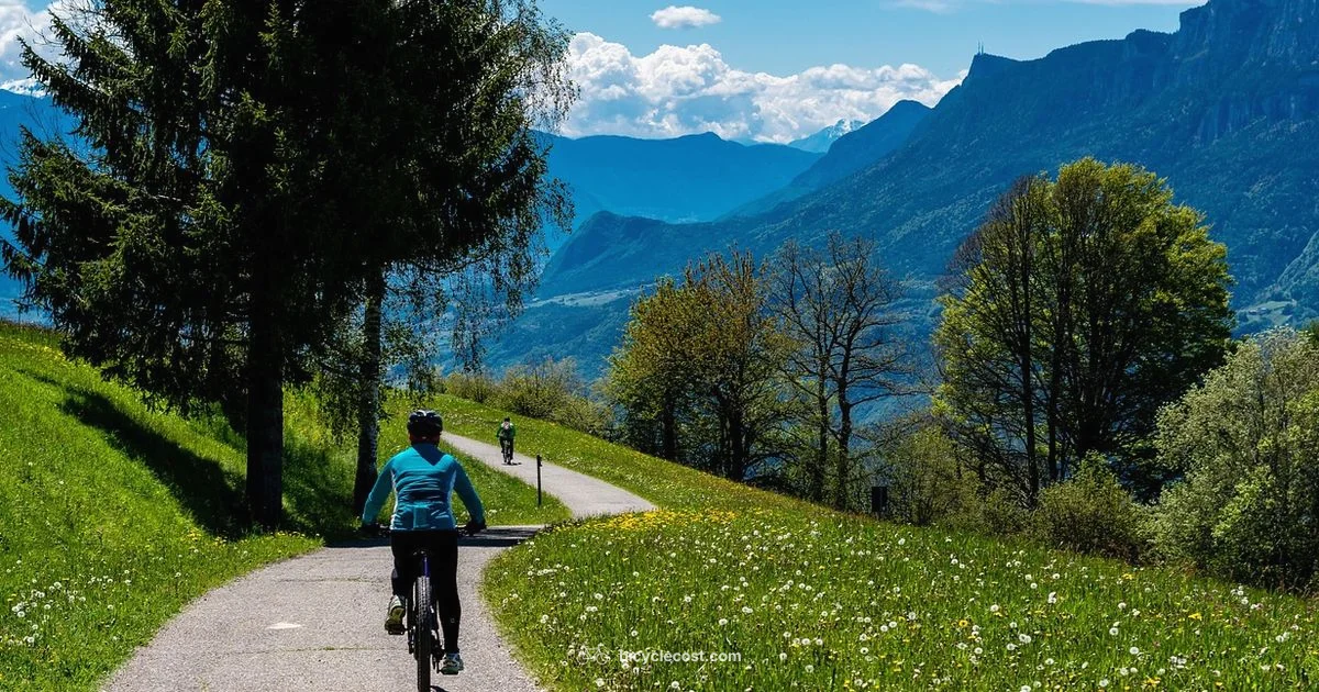 GT Aggressor Guide - BicycleCost