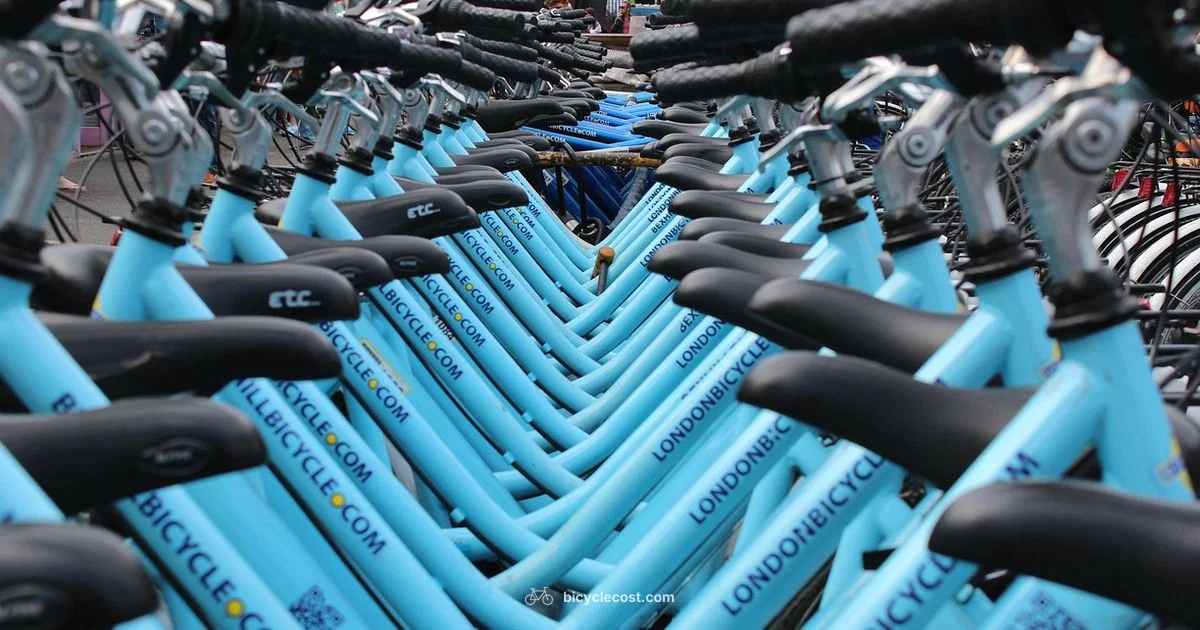 Roof Rack Guide - BicycleCost