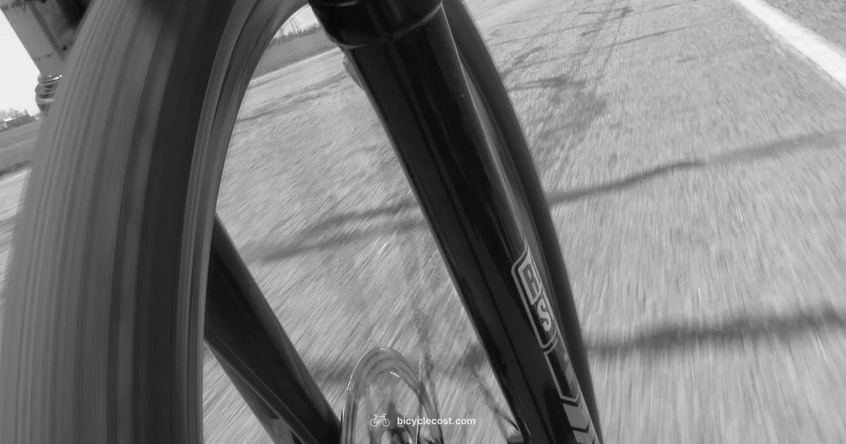 Fast E Bike Guide - BicycleCost