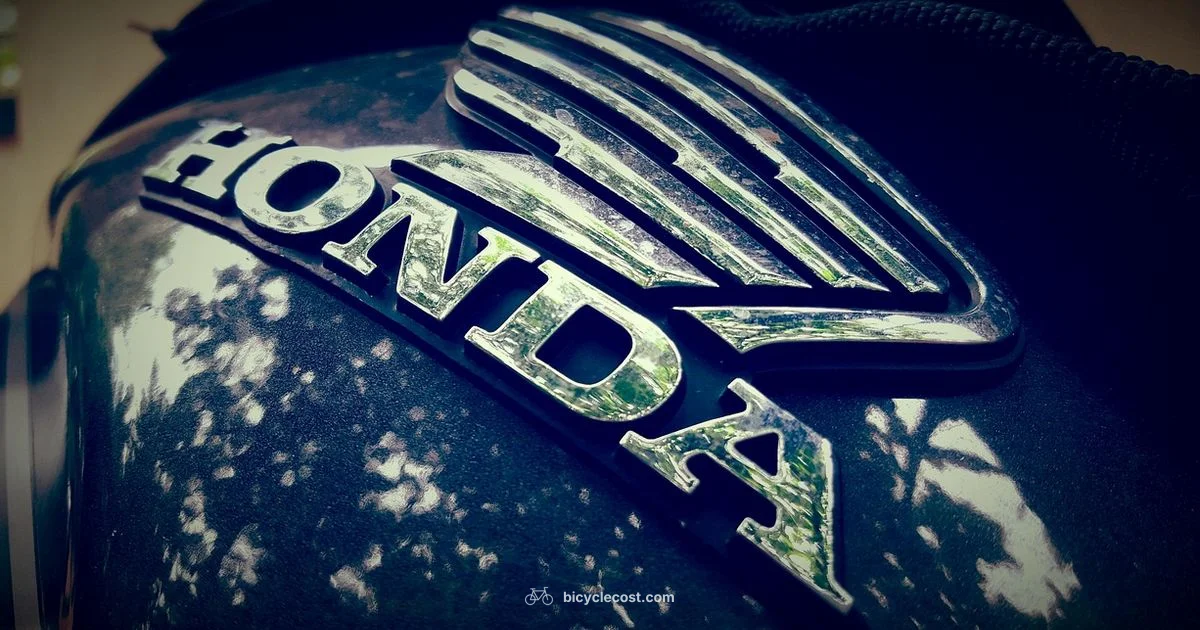 Electric Bike Guide - BicycleCost