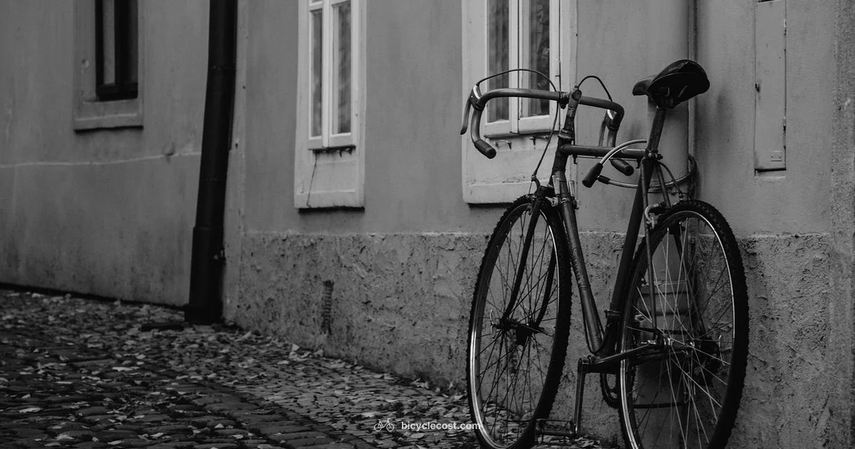 First Bicycle Origins - BicycleCost