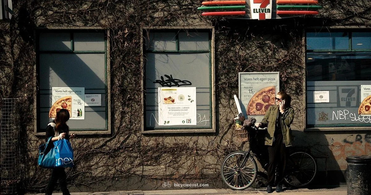 Adult Bicycle Guide - BicycleCost