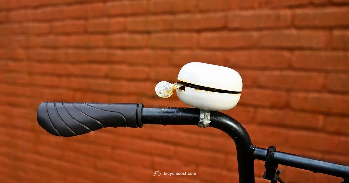 Bicycle Invention History - BicycleCost