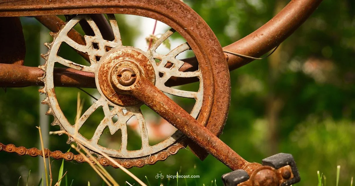 Origins of Bicycle - BicycleCost