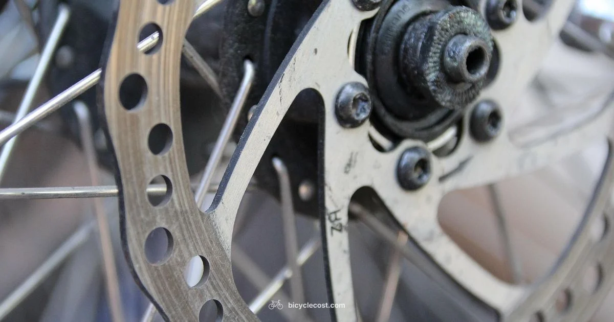 Brake Adjustment - BicycleCost