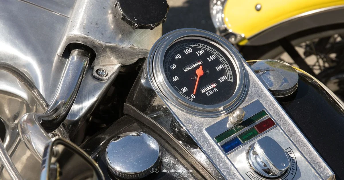 Harley Davidson Bicycle - BicycleCost