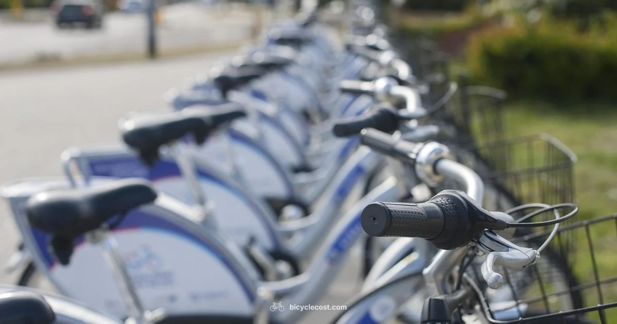 Knee Friendly Cycling - BicycleCost