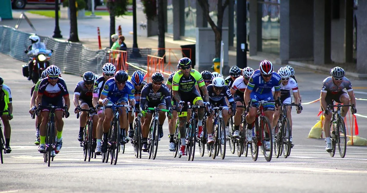 Safe Riding - BicycleCost