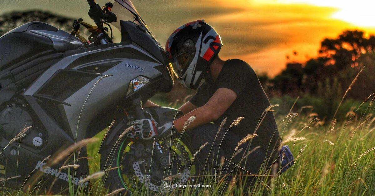 Bicycle Health Costs - BicycleCost