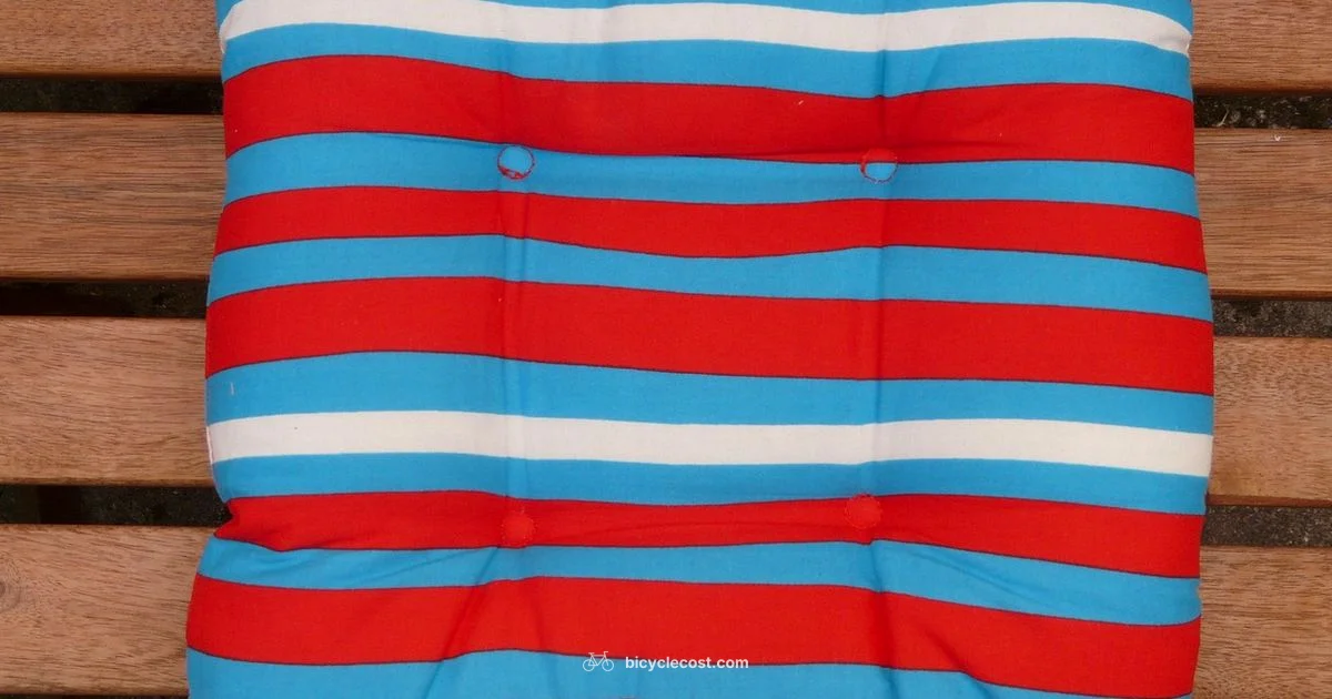 Seat Cushion Guide - BicycleCost