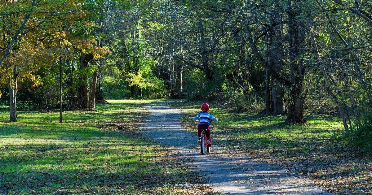 Bike Fall Safety - BicycleCost