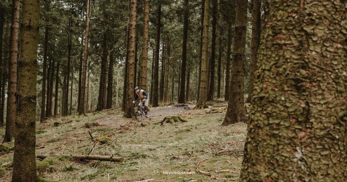 Kona Mountain Range - BicycleCost