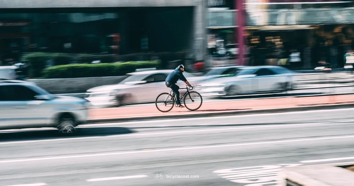 Drunk Cycling Safety - BicycleCost