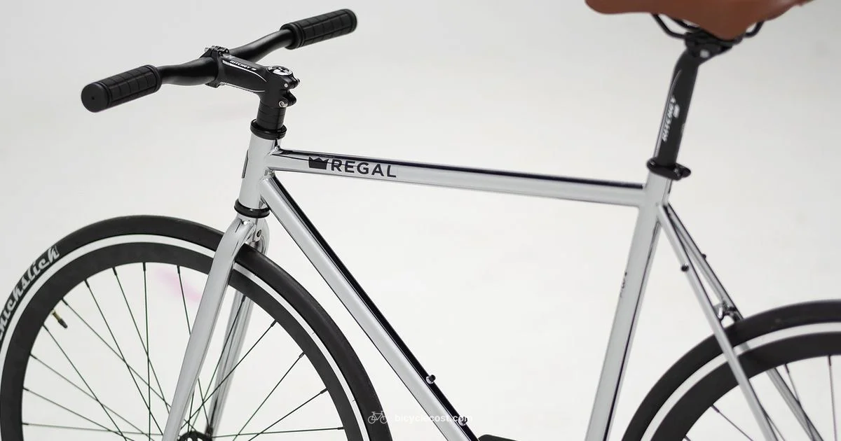 Best Exercise Bike Best Exercise Bike - BicycleCost