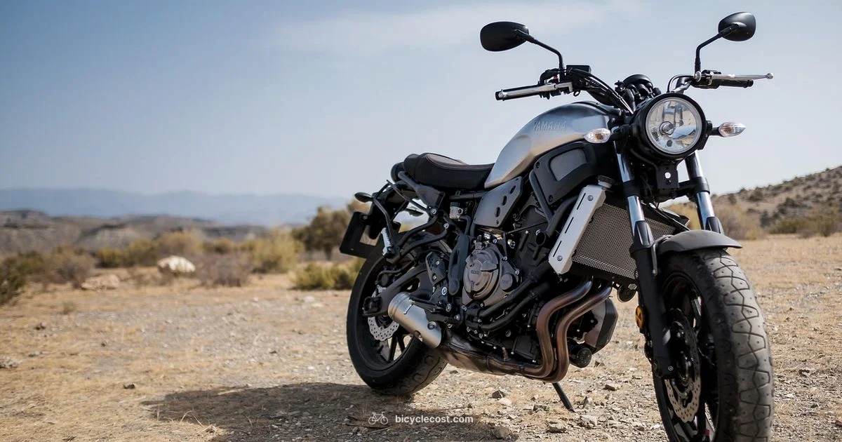 Electric Bicycle Moto - BicycleCost