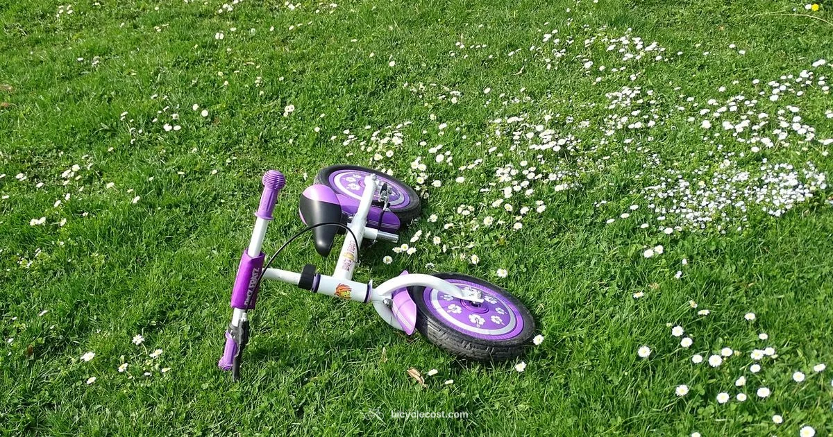 Bicycle Types Guide - BicycleCost