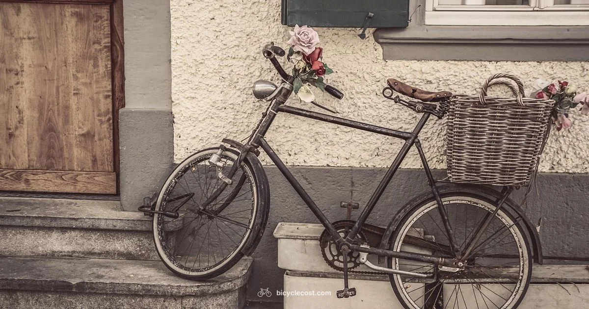 Bicycle Card Brand Review - BicycleCost