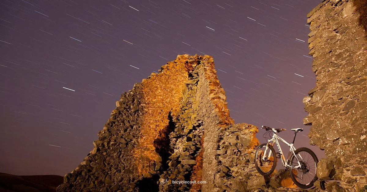 Local Bike Shop Guide - BicycleCost