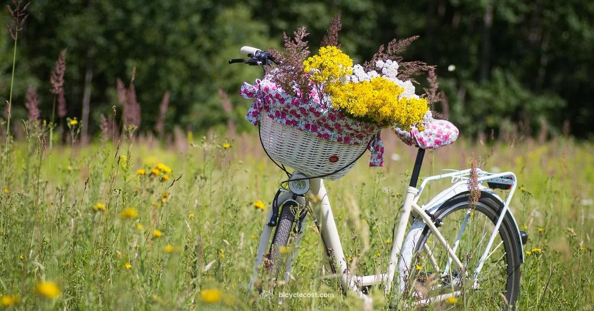 Local Rides Nearby Local Rides Nearby - BicycleCost