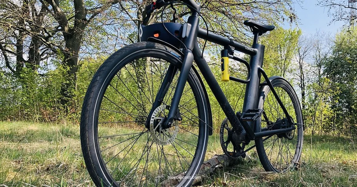 Fat Tire E Biker Guide - BicycleCost