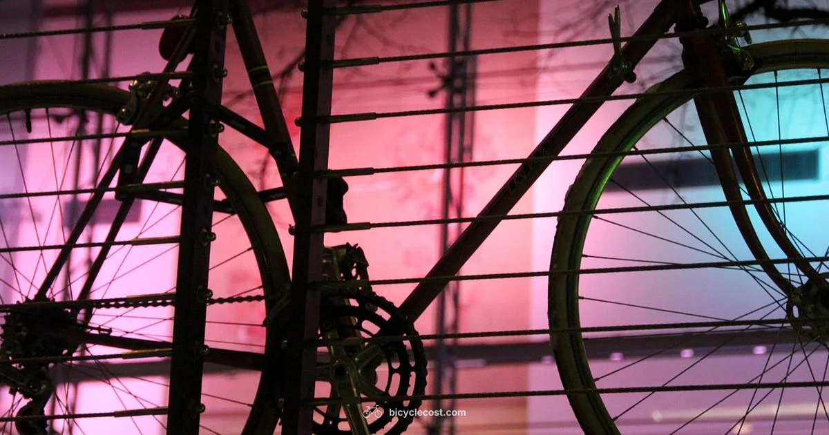 Road Riding Guide - BicycleCost