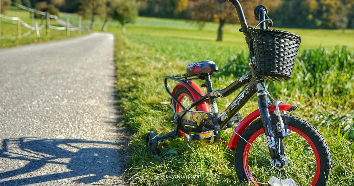 Infant Bicycle Basics - BicycleCost