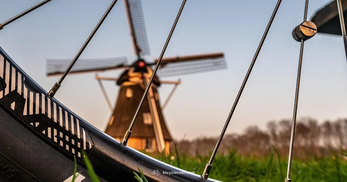 Wheel Reinstallation - BicycleCost